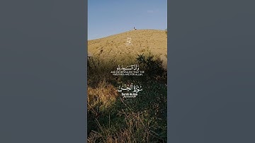 فلا تدعوا مع الله أحدا | سورة الجن - قرآن كريم #اكتب_شي_تؤجر_عليه #قرآن