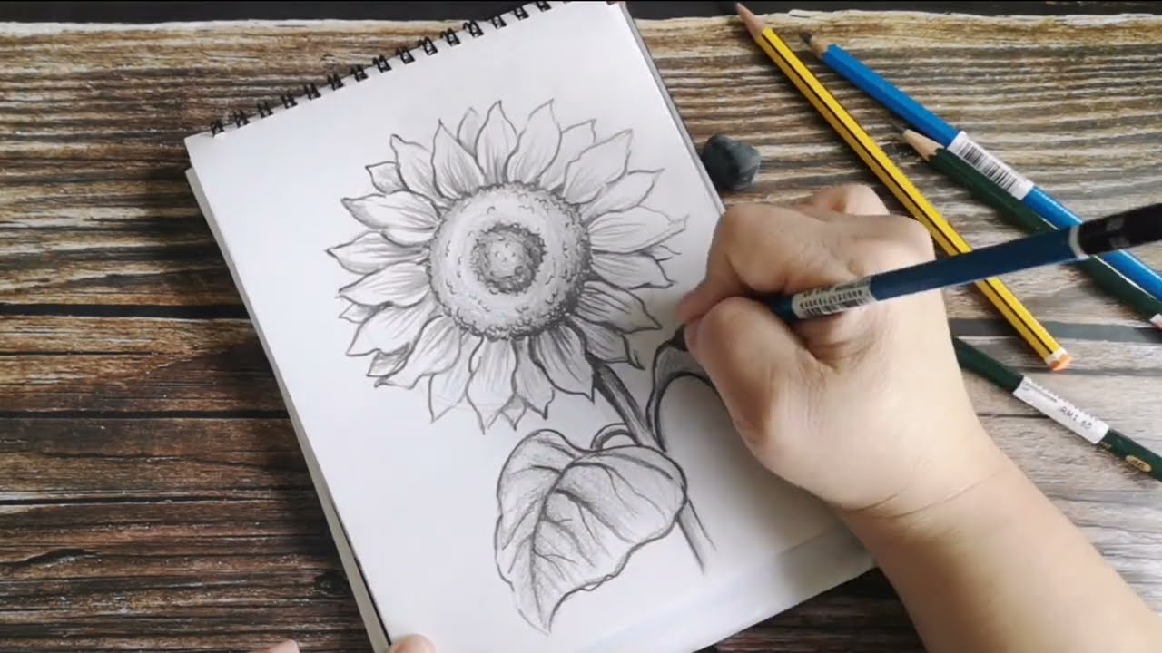 素描集 向井潤吉 A COLLECTION OF DRAWING WORKS Amazon.co.jp: 向井