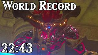 Breath of the Wild Any% 22:43 [WR]