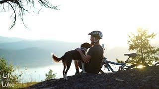 2 Wheels and 4 Paws