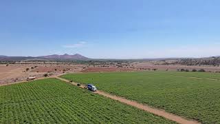 🇲🇽Puro Zacatecas 👍🏽De Fresnillo para el Mundo. 
