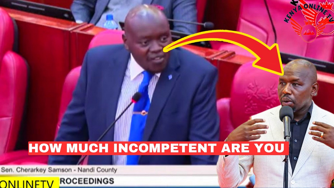 This is incompetent, How can a Cs tell us GOONS flee to Neighboring ...