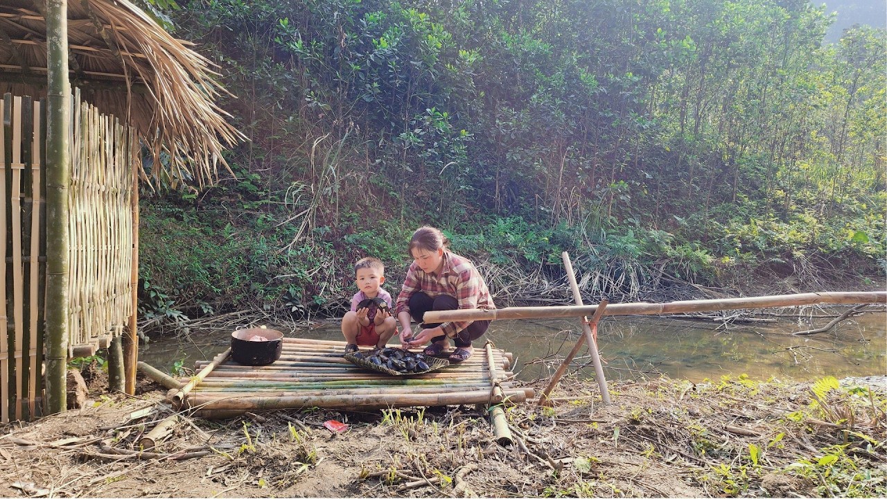 Single Mother Reclaims New Land - A New Life in the Forest - Harvesting Snail Clams for Sale