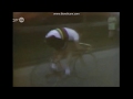 Les 5 succès d'Eddy Merckx sur Liège Bastogne Liège