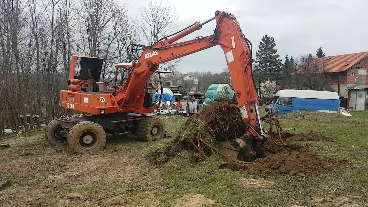 Cupanje bagremovog panja sa bagerom Atlas 1304 16 tona