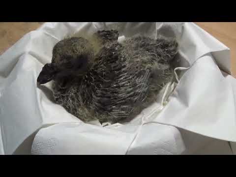 Abendbrot ist drinne 😃