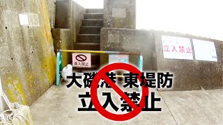 大磯港の東堤防は立禁になっていた!! 仕方なく平塚シン子さんに行ったらクサフグ!!! ダメ元で好き者護岸に行ったら大逆転w