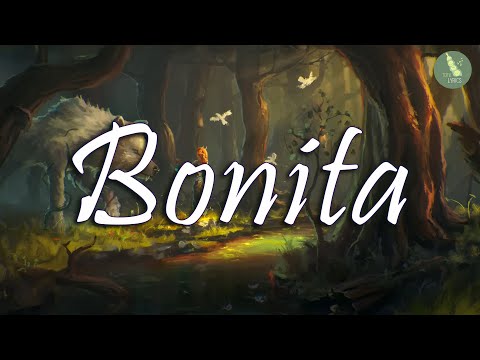 Sefo & Reynmen — Bonita (Sözleri/Lyrics)| Çakal — Semicenk — Canbay & Wolker | Tofu Lyrics