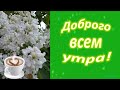 #Доброго всем утра!#Музыка Сергея Чекалина