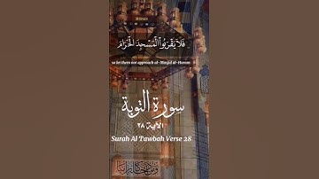 ماتيسر من سورة (التوبة) #الشيخ_يوسف_العيدروس