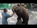 Мы всегда найдем во что поиграть🧑🐻