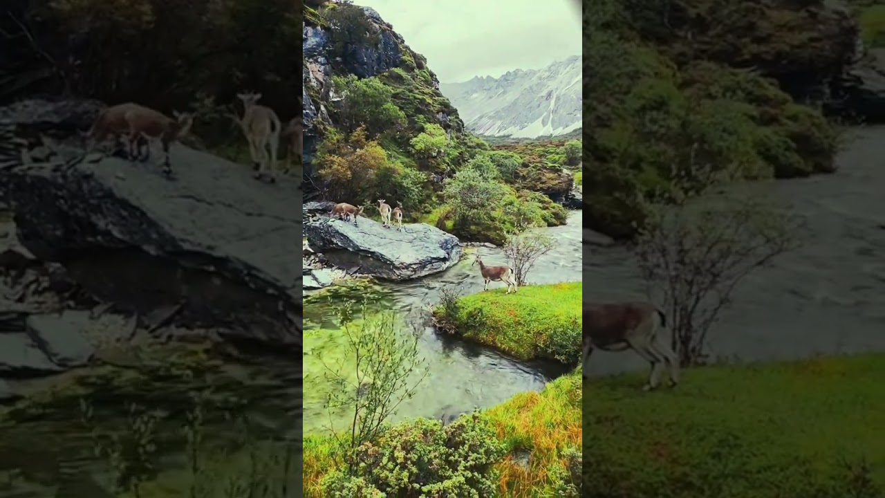 An Inspiring View: Watch To End  