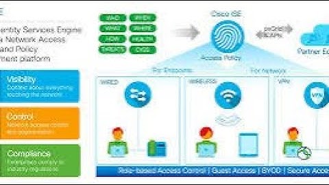 Wireless LAN Controller: Power of Cisco 9800: Benefits, Access Points, and More!