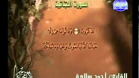 سورةالجاثية تلاوة مباركة للقارئ أحمد سلامة