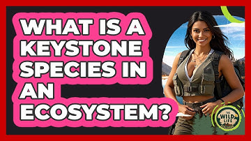 What Is a Keystone Species in an Ecosystem?