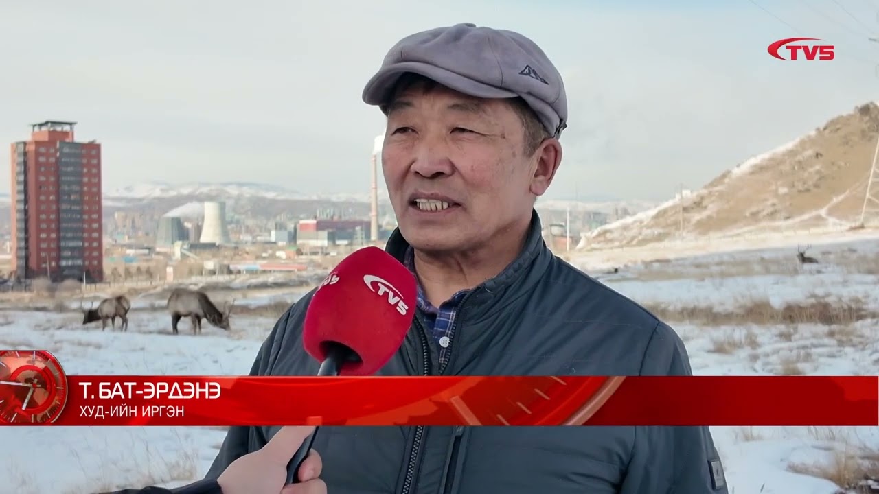 ХУД-ИЙН ЯАРМАГТ БОГДХАН УУЛНААС БУГА БУУЖ, ИРГЭДИЙН ӨГСӨН ХҮНСЭЭР ХООЛЛОЖ БАЙНА