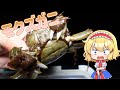 【ゆっくり実況】モクズガニリゾット【ゆっくり料理】【ゆっくり解説】