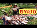 ยกยอ บ่อเหมาน้องหยาง ►Fishing lifestyle Ep.694