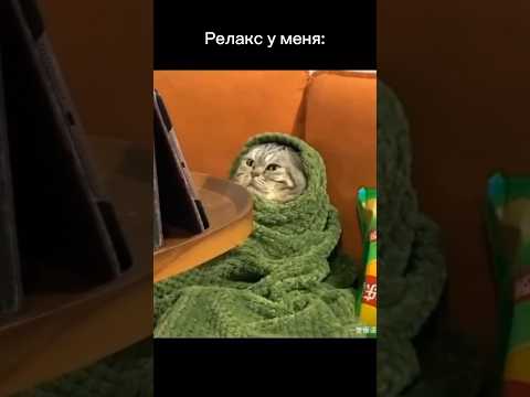 А что смотришь ты? #вечер #рутина #отдых #следствие #детектив #жиза #мем #кот #shorts