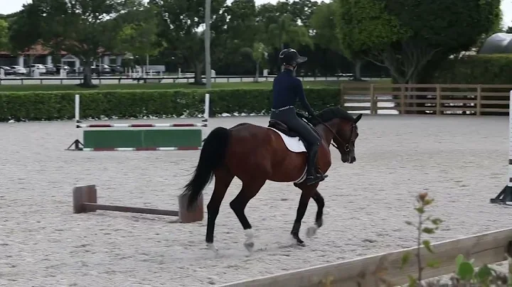 Madden Method - Beezie giving Katherine a lesson