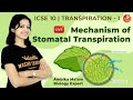 Transpiration Class 10 ICSE | Mechanism of Stomatal Transpiration | ICSE Biology | Vedantu Class 10