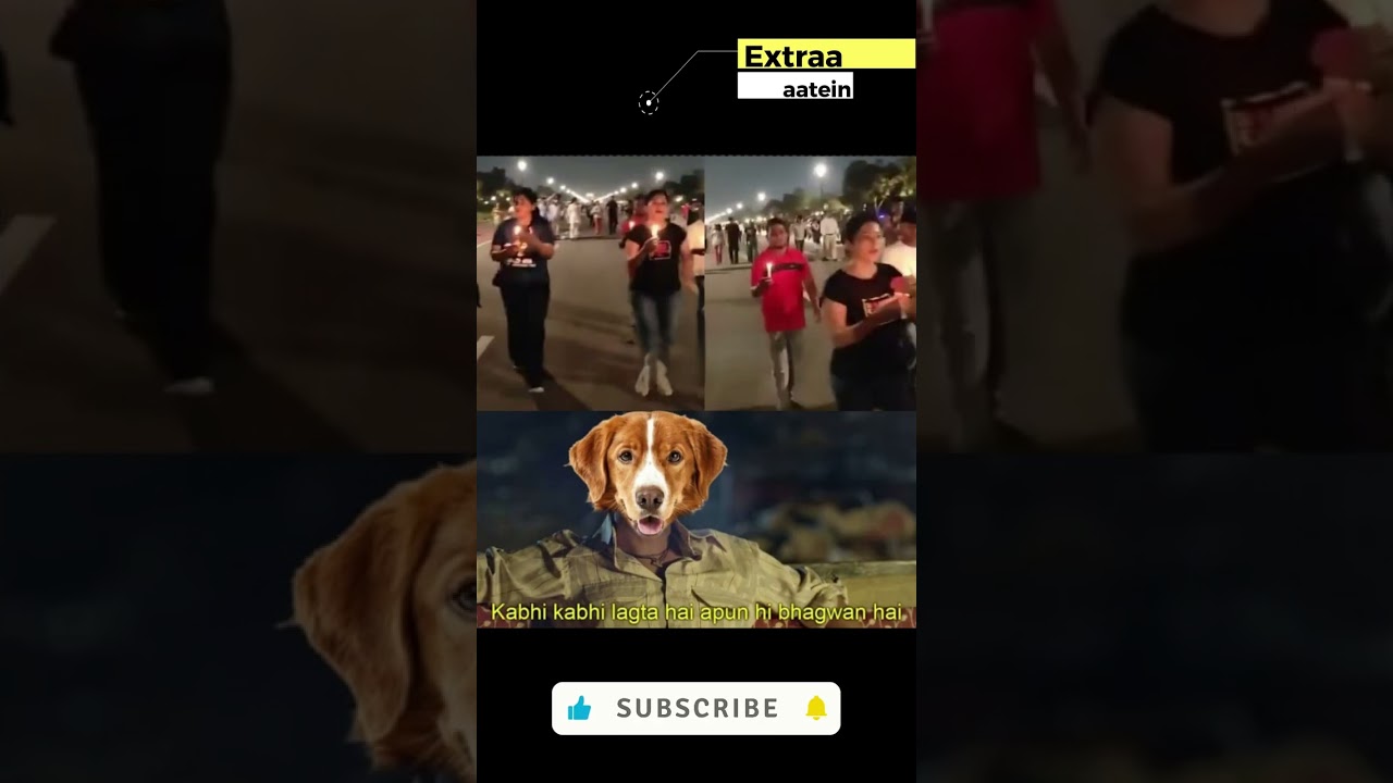 Why Dogs Deserve Special Treatment? Think Again