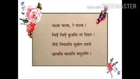 Sanskrit STD 7 Unit 5  चटक ! चटक !