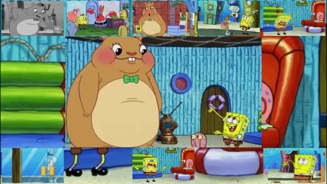 flamingsponge.mp4 - flamingsponge.mp4
