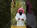 26 أغسطس، 2026