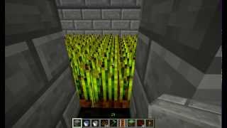 Minecraft Agriculture automatisé