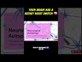 The Brain "Reset Switch" Doctors Hide 🤫🧠