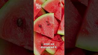 Why would watermelon be a middle-of-the-night food?