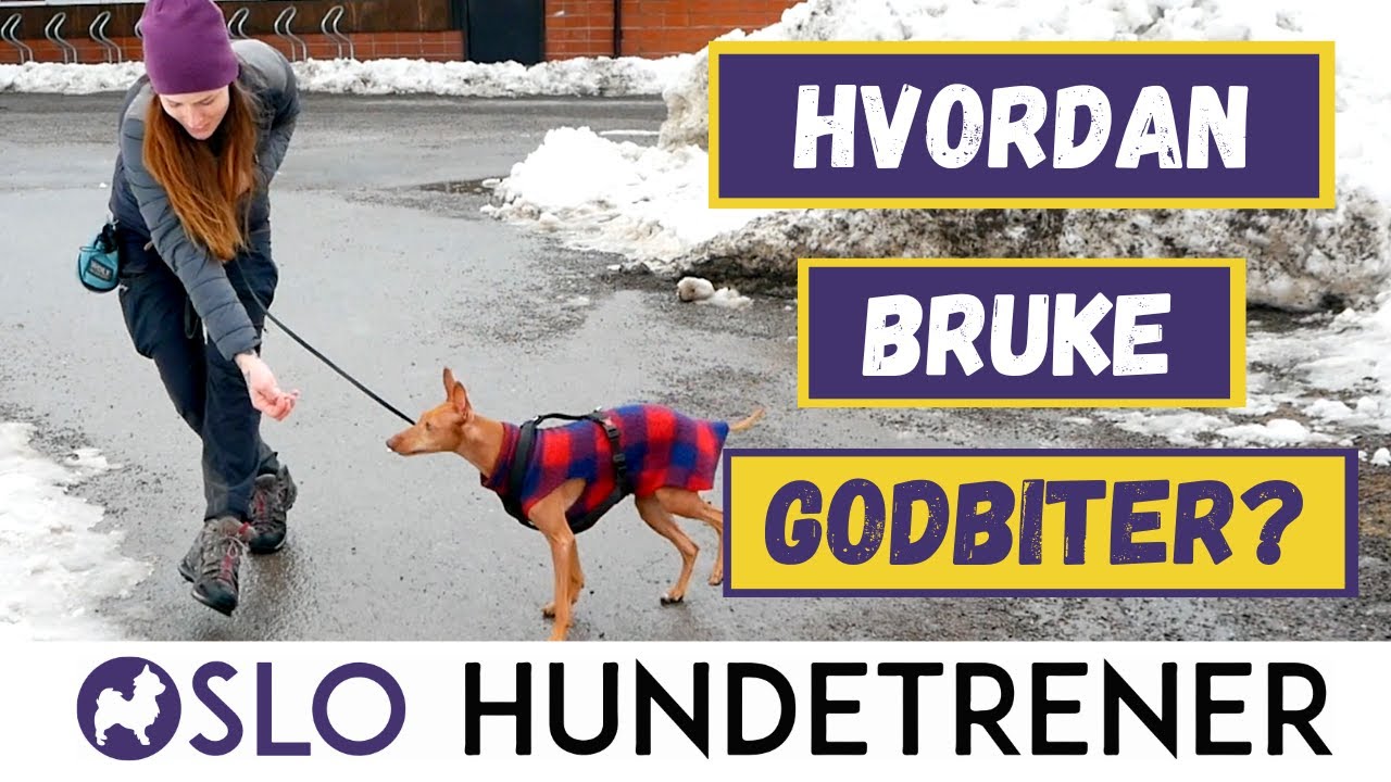 Feil bruk av godbiter er bortkastet tid