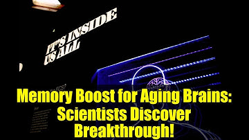 Memory Boost for Aging Brains: Scientists Discover Breakthrough!