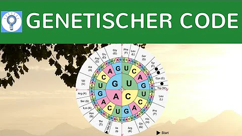 Wie wird der genetische Code abgelesen?