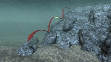 Matt Herren loves the versatility of a jig on vertical structure