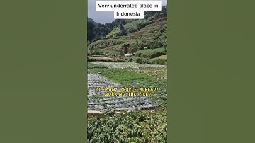 Dieng Plateau - underrated place in Indonesia #shortsindonesia #diengplateau #javaisland