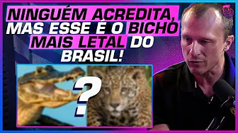 imagem do youtube