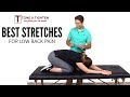 WORKS FAST! Best Stretches For Low Back Pain - From a Physical Therapist