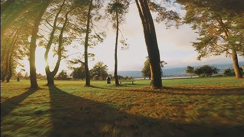 BLACK BIRD FPV - That Astro X5 Johnny FPV Edition