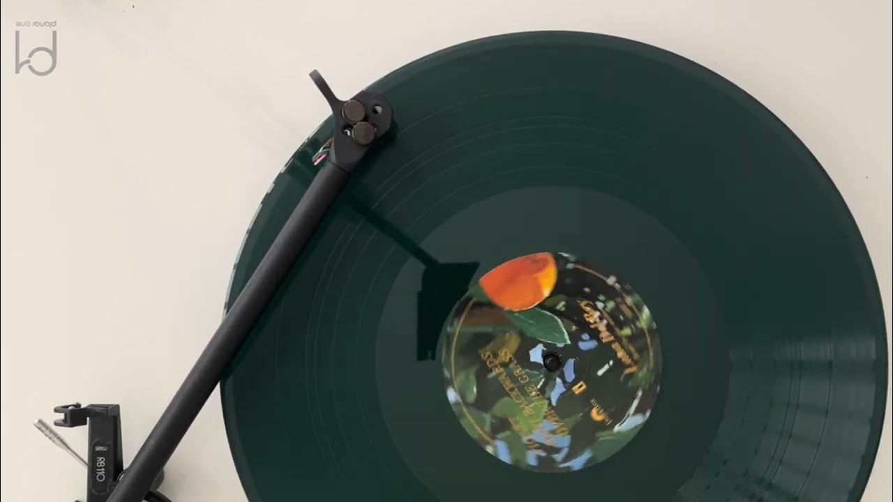 lana-del-rey-la-who-am-i-to-love-you-vinyl-visualizer-youtube