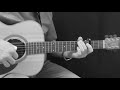 Heute hier – morgen dort – Hannes Wader/Gary Bolstad Cover – Fingerpicking