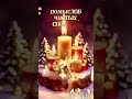 27 февраля 2025 г.