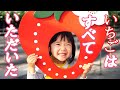 【爆食い】いちご狩り♪大好きないちごが無限に食べられると聞いてウキウキ【2歳姉&0歳弟】