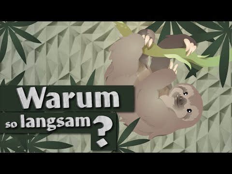 Video: Wann ist meine Antonia gesetzt?