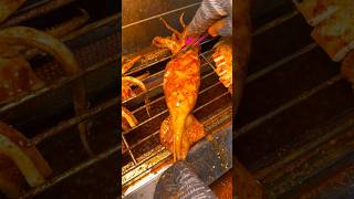 Mouthwatering Spicy Grilled Squid β Perfect Street Food! #shorts Mouthwatering Spicy Grilled Squid β Perfect Street Food! #shorts