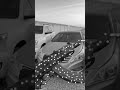 هيج بساع حبي ضاع مسرع مطلوبه زيزو هيج بساع حبي ضاع مسرع مطلوبه زيزو
