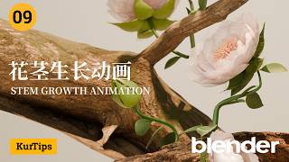 Blender几何节点入门课09 花茎的生长动画
