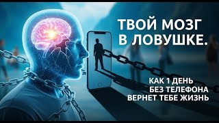 видео: Твой мозг в ловушке: 1 день без телефона изменит всё картинка: Твой мозг в ловушке: 1 день без телефона изменит всё