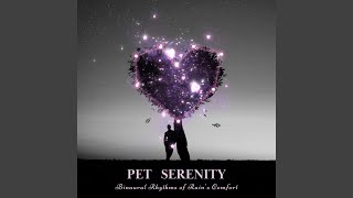 Ambient Rainfall Pet Symphony